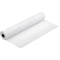 Epson Premium Semigloss Photo Paper Roll (C13S041643 250gsm, 1118mm x 30.5m Roll)