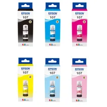 Epson 107 6 Colour Ink Bottle Multipack - (C13T09B)