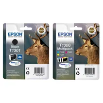 Epson T130 Extra High Capacity 4 Colour Ink Cartridge Multipack - (T1301 & T1306 Stag)