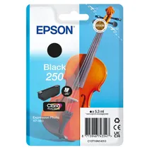 Epson 250 Black Ink Cartridge - (C13T16N14010 Violin)