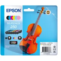 Epson 250 6 Colour Ink Cartridge Multipack - (C13T16N84010 Violin)