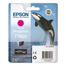 Epson T7603 Vivid Magenta Ink Cartridge - (C13T760340 Killer Whale)
