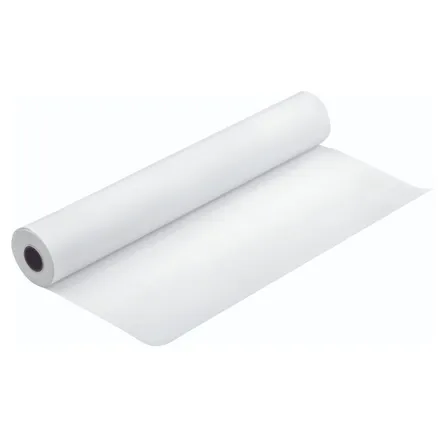 Epson Double Weight Matte Inkjet Paper (C13S041387 180gsm 1188mmx25m Roll)