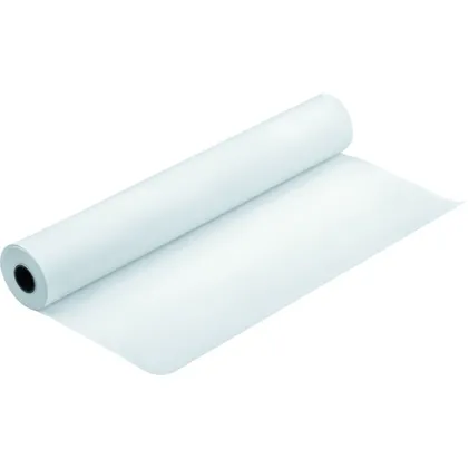 Epson Premium Semigloss Photo Paper Roll (C13S041643 250gsm, 1118mm x 30.5m Roll)