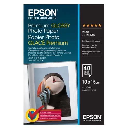 Epson 255gsm 10x15cm Premium Glossy Inkjet Photo Paper (C13S042153)