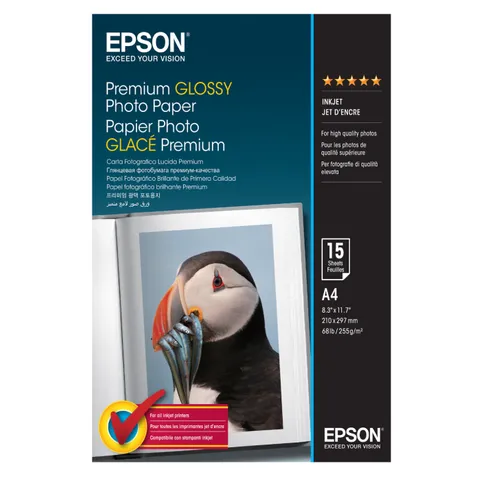 Epson 255gsm A4 Premium Glossy Inkjet Photo Paper (C13S042155 15 Sheets)