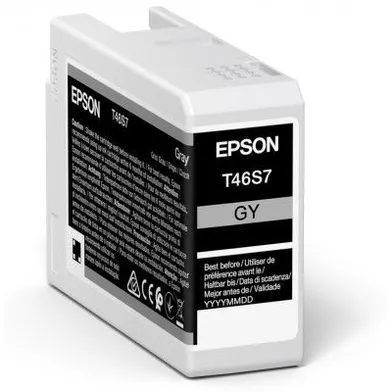 Epson T46S7 Grey Ink Cartridge - (C13T46S700)