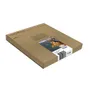 Epson T1306 Extra High Capacity 3 Colour Ink Cartridge Multipack - (Stag)