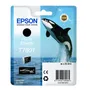 Epson T7601 Photo Black Ink Cartridge - (C13T760140 Killer Whale)