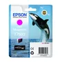 Epson T7603 Vivid Magenta Ink Cartridge - (C13T760340 Killer Whale)
