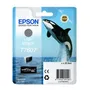 Epson T7607 Light Black Ink Cartridge - (C13T760740 Killer Whale)
