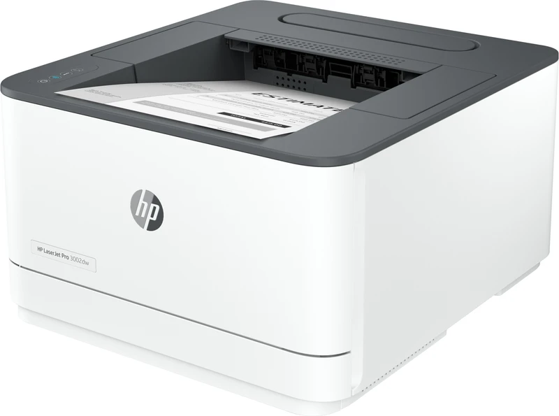 HP LaserJet Pro 3002dw Laser Printer
