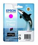 Epson T7603 Vivid Magenta Ink Cartridge - (C13T760340 Killer Whale)