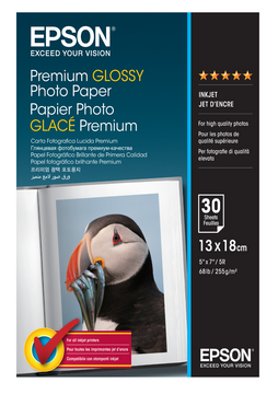 Epson 255gsm 13x18 cm Premium Glossy Inkjet Photo Paper (C13S042154 30 Sheets 7x5in.)