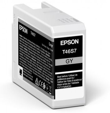 Epson T46S Grey Ink Cartridge - (C13T46S700)