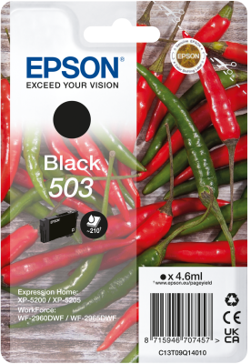 Epson 503 Black Ink Cartridge - (C13T09Q14010 Chilli)