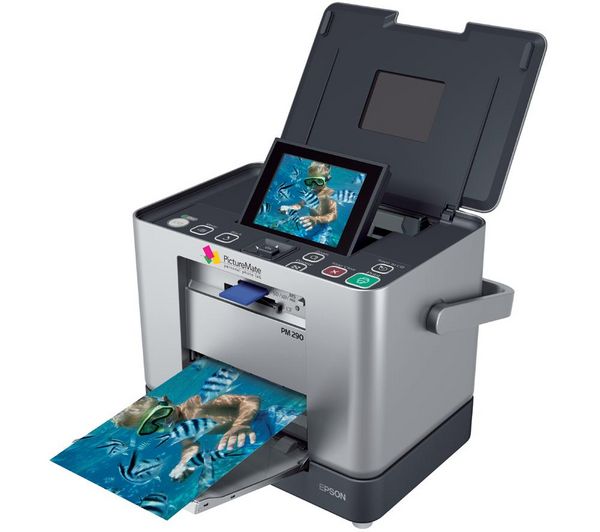 Epson PictureMate 290 Ink Cartridges