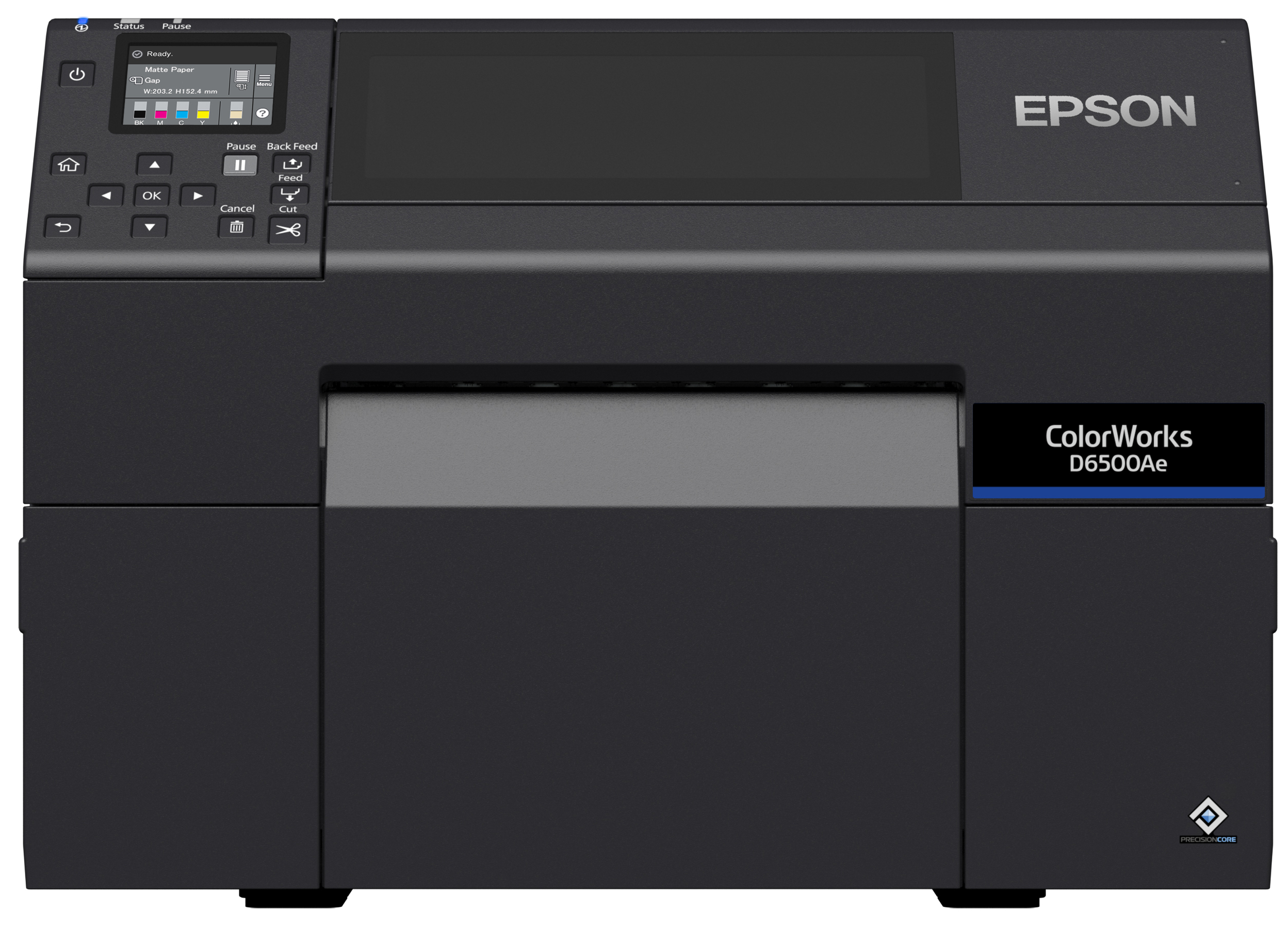 Epson ColorWorks D6500 Ink Cartridges