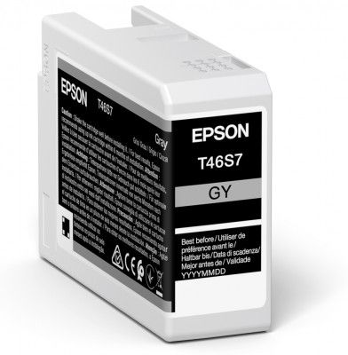Epson T46S7 Grey Ink Cartridge - (C13T46S700)