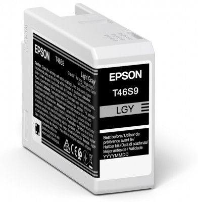 Epson T46S9 Light Grey Ink Cartridge - (C13T46S900)