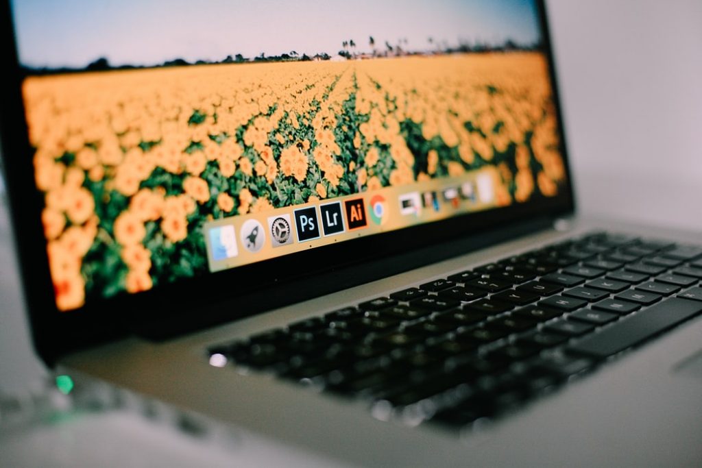 Photo by Mikaela Shannon on Unsplash