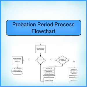 Implementing a Good Probationary Period: Flowchart