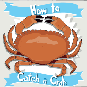 How To Catch A Crab