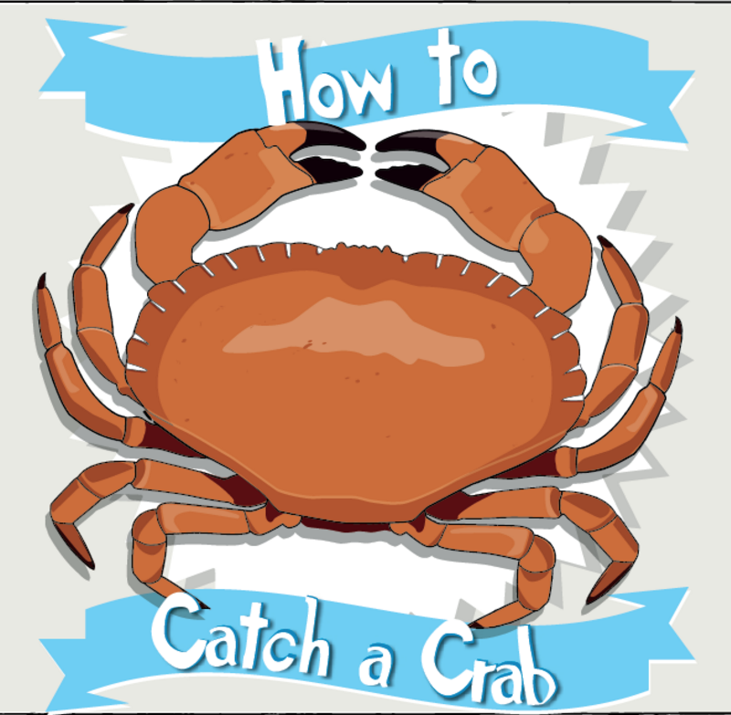 A step by step guide on how to catch a crab perfect for children aged 5+