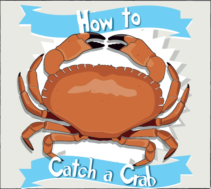How To Catch A Crab Outdoor Fun Cartridgesave