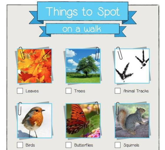 Things to spot on a nature walk