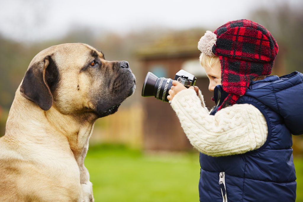 Photography research