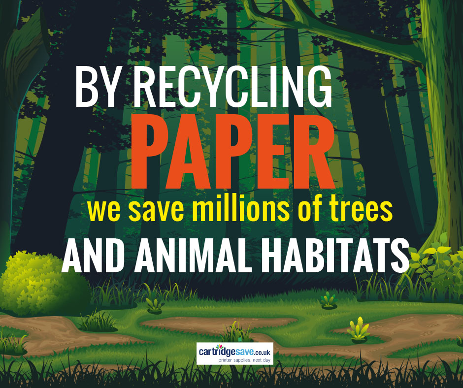 Recycling Tips and Guide Print what matters