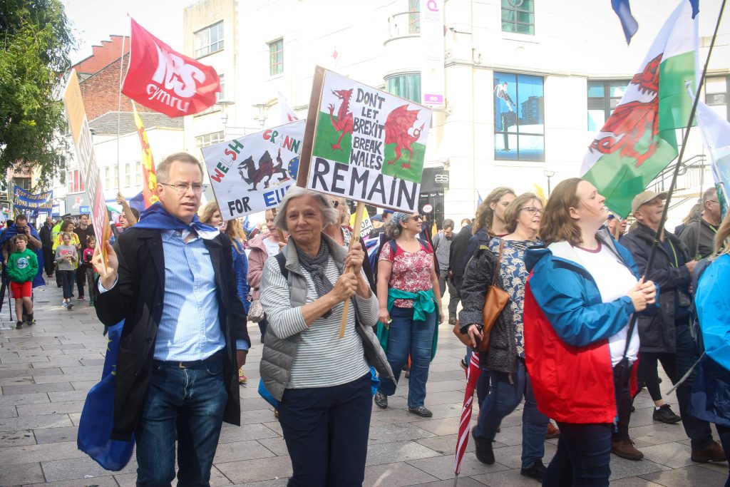 Cardiff Brexit Protest